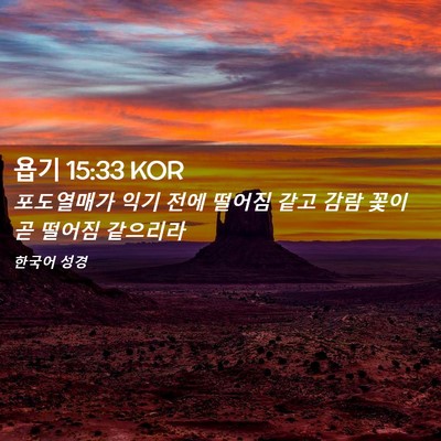 Picture 02 - 욥기 15:33 KOR - 포도열매가 익기 전에 떨어짐 같고 - Bible Verse Picture