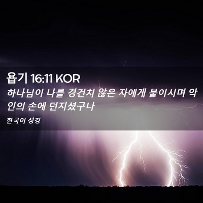 Picture 02 - 욥기 16:11 KOR - 하나님이 나를 경건치 않은 자에게 - Bible Verse Picture