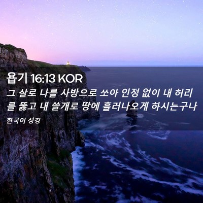 Picture 02 - 욥기 16:13 KOR - 그 살로 나를 사방으로 쏘아 인정 - Bible Verse Picture