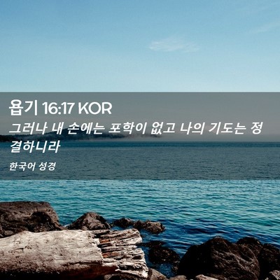 Picture 02 - 욥기 16:17 KOR - 그러나 내 손에는 포학이 없고 나의 - Bible Verse Picture