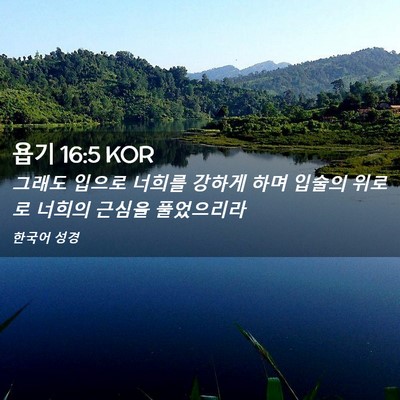 Picture 02 - 욥기 16:5 KOR - 그래도 입으로 너희를 강하게 하며 - Bible Verse Picture