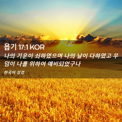 Picture 02 - 욥기 17:1 KOR - 나의 기운이 쇠하였으며 나의 날이 - Bible Verse Picture