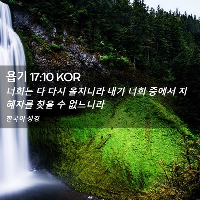 Picture 02 - 욥기 17:10 KOR - 너희는 다 다시 올지니라 내가 너희 - Bible Verse Picture