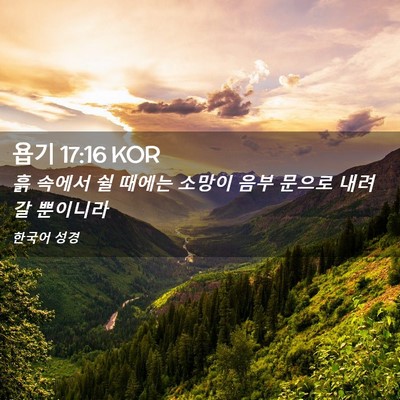 Picture 02 - 욥기 17:16 KOR - 흙 속에서 쉴 때에는 소망이 음부 - Bible Verse Picture