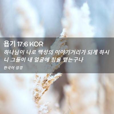Picture 02 - 욥기 17:6 KOR - 하나님이 나로 백성의 이야기거리가 - Bible Verse Picture
