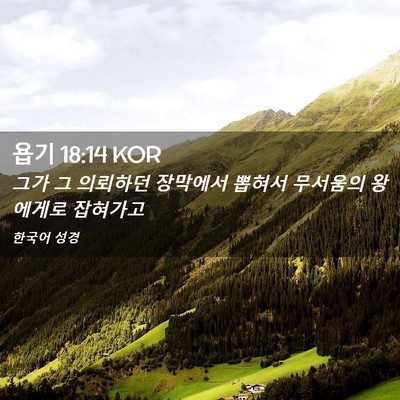 Picture 02 - 욥기 18:14 KOR - 그가 그 의뢰하던 장막에서 뽑혀서 - Bible Verse Picture