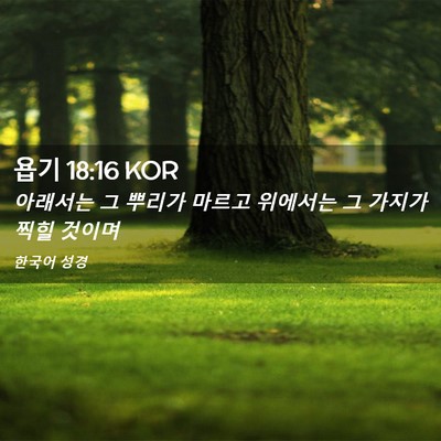 Picture 02 - 욥기 18:16 KOR - 아래서는 그 뿌리가 마르고 위에서는 - Bible Verse Picture