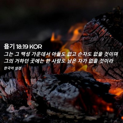 Picture 02 - 욥기 18:19 KOR - 그는 그 백성 가운데서 아들도 없고 - Bible Verse Picture