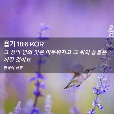 Picture 02 - 욥기 18:6 KOR - 그 장막 안의 빛은 어두워지고 그 - Bible Verse Picture
