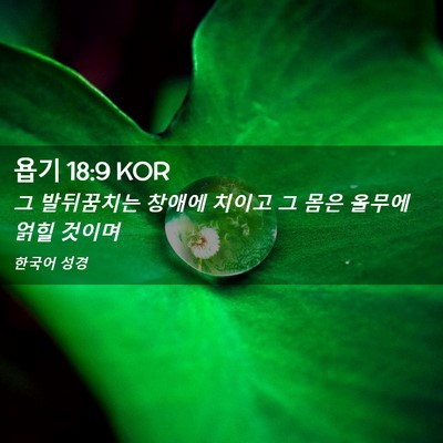 Picture 02 - 욥기 18:9 KOR - 그 발뒤꿈치는 창애에 치이고 그 - Bible Verse Picture