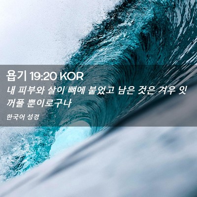 Picture 02 - 욥기 19:20 KOR - 내 피부와 살이 뼈에 붙었고 남은 - Bible Verse Picture