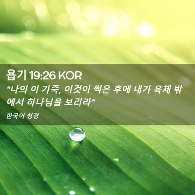 Picture 02 - 욥기 19:26 KOR - 
