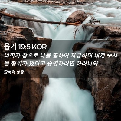 Picture 02 - 욥기 19:5 KOR - 너희가 참으로 나를 향하여 자긍하며 - Bible Verse Picture