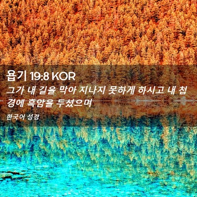 Picture 02 - 욥기 19:8 KOR - 그가 내 길을 막아 지나지 못하게 - Bible Verse Picture