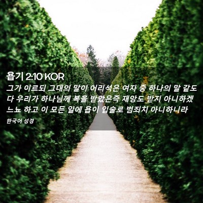 Picture 02 - 욥기 2:10 KOR - 그가 이르되 그대의 말이 어리석은 - Bible Verse Picture