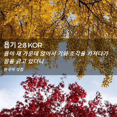 Picture 02 - 욥기 2:8 KOR - 욥이 재 가운데 앉아서 기와 조각을 - Bible Verse Picture