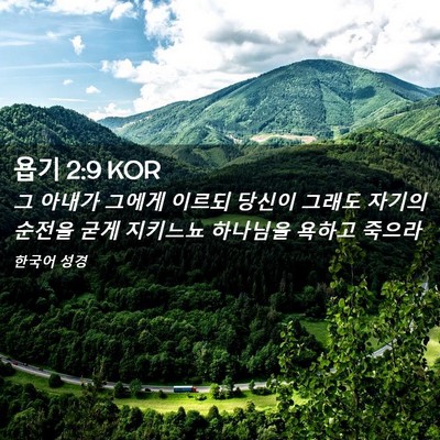 Picture 02 - 욥기 2:9 KOR - 그 아내가 그에게 이르되 당신이 - Bible Verse Picture