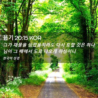 Picture 02 - 욥기 20:15 KOR - 그가 재물을 삼켰을지라도 다시 토할 - Bible Verse Picture