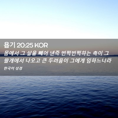 Picture 02 - 욥기 20:25 KOR - 몸에서 그 살을 빼어 낸즉 - Bible Verse Picture