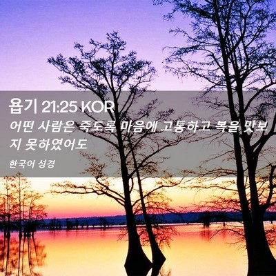 Picture 02 - 욥기 21:25 KOR - 어떤 사람은 죽도록 마음에 고통하고 - Bible Verse Picture