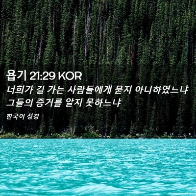 Picture 02 - 욥기 21:29 KOR - 너희가 길 가는 사람들에게 묻지 - Bible Verse Picture