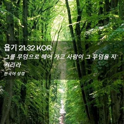 Picture 02 - 욥기 21:32 KOR - 그를 무덤으로 메어 가고 사람이 그 - Bible Verse Picture