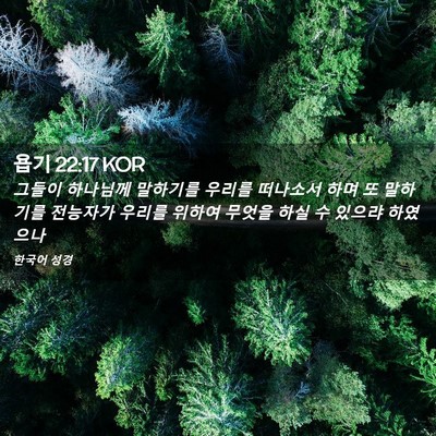 Picture 02 - 욥기 22:17 KOR - 그들이 하나님께 말하기를 우리를 - Bible Verse Picture
