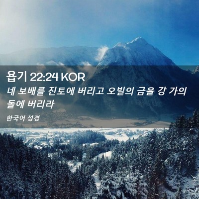 Picture 02 - 욥기 22:24 KOR - 네 보배를 진토에 버리고 오빌의 - Bible Verse Picture