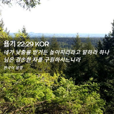 Picture 02 - 욥기 22:29 KOR - 네가 낮춤을 받거든 높아지리라고 - Bible Verse Picture