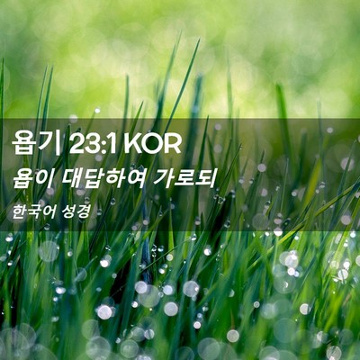 Picture 02 - 욥기 23:1 KOR - 욥이 대답하여 - Bible Verse Picture