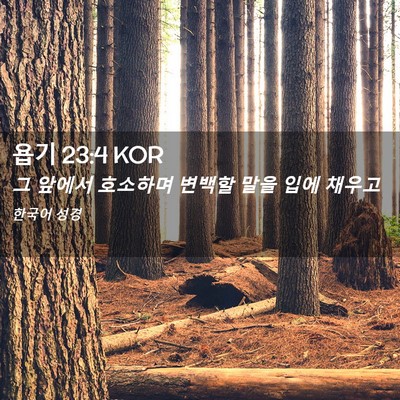 Picture 02 - 욥기 23:4 KOR - 그 앞에서 호소하며 변백할 말을 - Bible Verse Picture