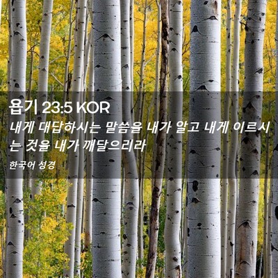 Picture 02 - 욥기 23:5 KOR - 내게 대답하시는 말씀을 내가 알고 - Bible Verse Picture