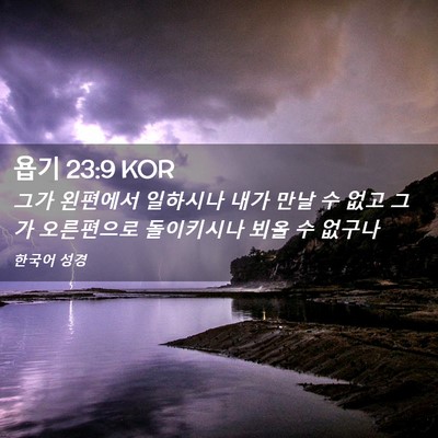 Picture 02 - 욥기 23:9 KOR - 그가 왼편에서 일하시나 내가 만날 - Bible Verse Picture