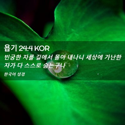 Picture 02 - 욥기 24:4 KOR - 빈궁한 자를 길에서 몰아 내나니 - Bible Verse Picture