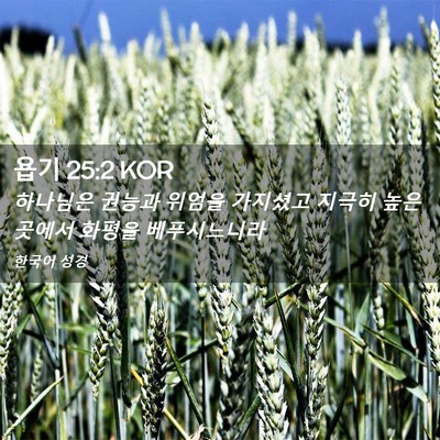 Picture 02 - 욥기 25:2 KOR - 하나님은 권능과 위엄을 가지셨고 - Bible Verse Picture