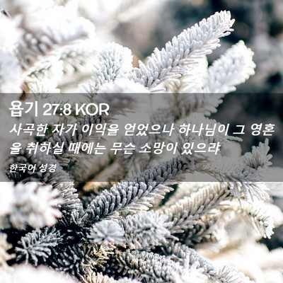 Picture 02 - 욥기 27:8 KOR - 사곡한 자가 이익을 얻었으나 - Bible Verse Picture