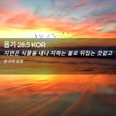 Picture 02 - 욥기 28:5 KOR - 지면은 식물을 내나 지하는 불로 - Bible Verse Picture
