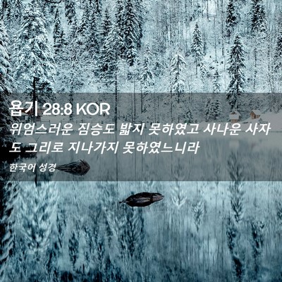 Picture 02 - 욥기 28:8 KOR - 위엄스러운 짐승도 밟지 못하였고 - Bible Verse Picture