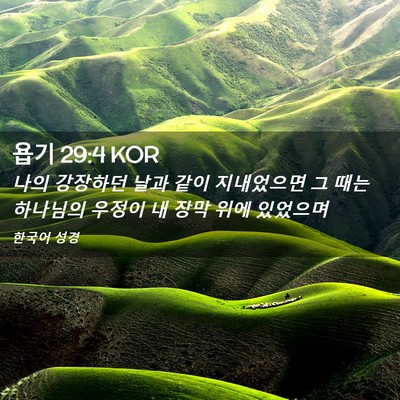 Picture 02 - 욥기 29:4 KOR - 나의 강장하던 날과 같이 지내었으면 - Bible Verse Picture