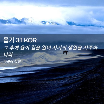 Picture 02 - 욥기 3:1 KOR - 그 후에 욥이 입을 열어 자기의 - Bible Verse Picture