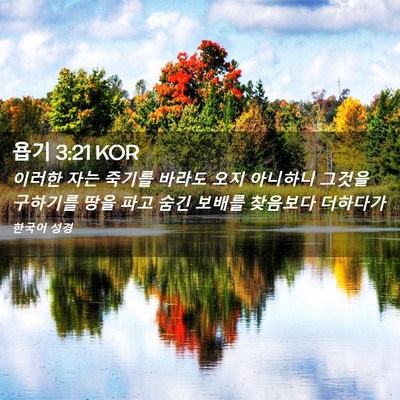 Picture 02 - 욥기 3:21 KOR - 이러한 자는 죽기를 바라도 오지 - Bible Verse Picture