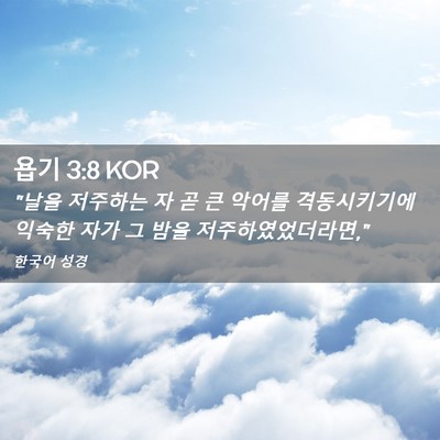 Picture 02 - 욥기 3:8 KOR - 