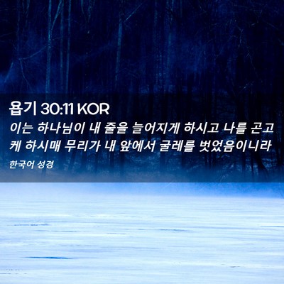 Picture 02 - 욥기 30:11 KOR - 이는 하나님이 내 줄을 늘어지게 - Bible Verse Picture