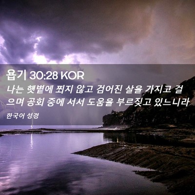 Picture 02 - 욥기 30:28 KOR - 나는 햇볕에 쬐지 않고 검어진 살을 - Bible Verse Picture