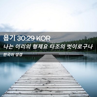 Picture 02 - 욥기 30:29 KOR - 나는 이리의 형제요 타조의 - Bible Verse Picture