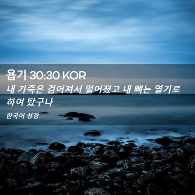 Picture 02 - 욥기 30:30 KOR - 내 가죽은 검어져서 떨어졌고 내 - Bible Verse Picture