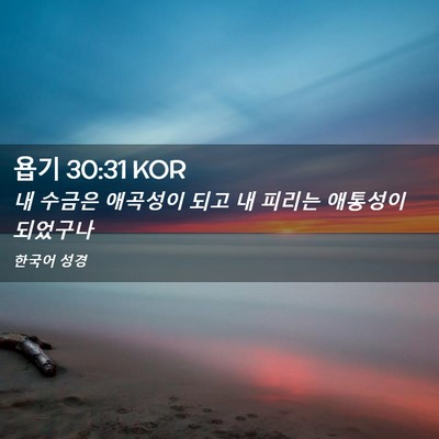 Picture 02 - 욥기 30:31 KOR - 내 수금은 애곡성이 되고 내 피리는 - Bible Verse Picture