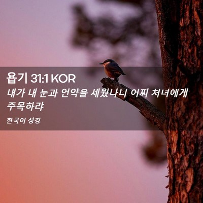Picture 02 - 욥기 31:1 KOR - 내가 내 눈과 언약을 세웠나니 어찌 - Bible Verse Picture