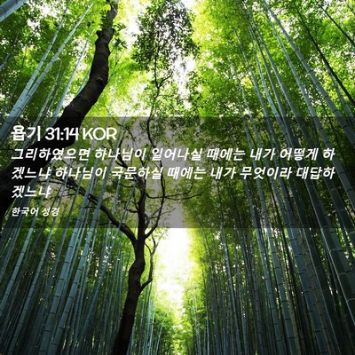 Picture 02 - 욥기 31:14 KOR - 그리하였으면 하나님이 일어나실 - Bible Verse Picture