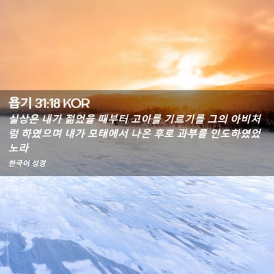 Picture 02 - 욥기 31:18 KOR - 실상은 내가 젊었을 때부터 고아를 - Bible Verse Picture
